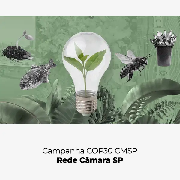 Campanha Câmara Pelo Clima (COP30) – Rede Câmara São Paulo